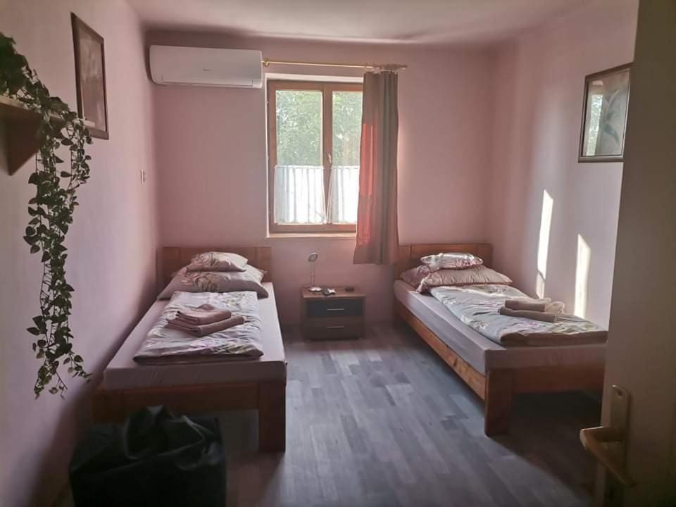 Apartmán Pazsit-To Vendeghaz Békésszentandrás Exteriér fotografie